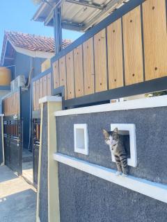 Robiu Bed & Breakfast - 7
