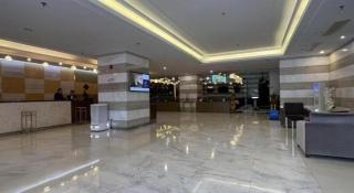 The Bauhinia - Shenzhen - 1