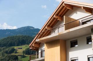 Modern Alpine Apartment Close to WEF DAVOS - 5