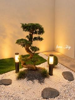 Luma Stay - 7