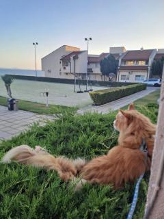 Ravda Holiday Village 1-bed seaview apartment - Rawda - 4