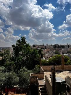 Separate entrance, private garden, and beautiful view of Mount Amman - 3