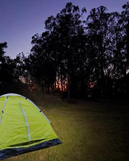 Rental Tenda - 9