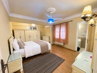 Central Abbas El Akkad Apartment 8km from CIA - 0