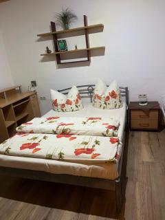 Monteurwohnung Glauchau - 2
