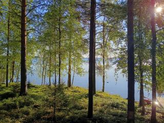 Tunnelmallinen saarimökki Viinijärven rannalla - 6