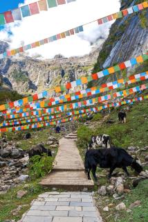 Shangri-la Designer Homestay without Summer(By the Cosmic Wheel of Dukezong) - 7