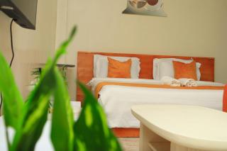 Mt Kilimanjaro view studio apartment in Kimana - 9