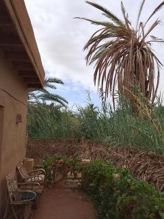 Tianya Hostel Siwa 锡瓦天涯青年旅舍 - 8