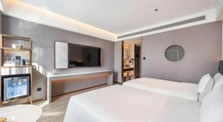 Langlizi Hotel (Beijing Daxing International Airport Terminal Branch) - 4