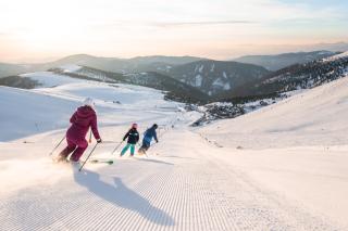 Hochgamshütte - Berghütte auf 1800m mit Sauna, HotPot & Kamin nahe Skilift - Falkertsee - 3
