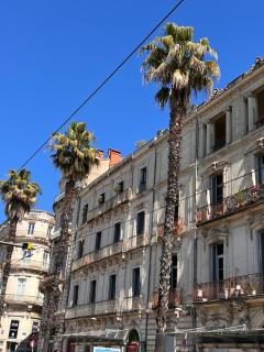Superbe appartement COSY - Montpellier - 2