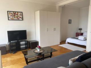 Specious studio in Down with lake view - 6