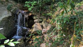 Le Moulin des Salces - Saint-Privat - 6