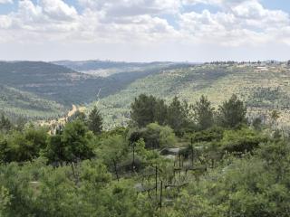 Shoresh Green Hills - 5