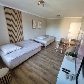Apartament Wittenberga - 5