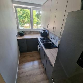 Apartament Wittenberga - 4
