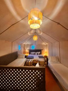 Fancy Golden Luxury Camp - 3