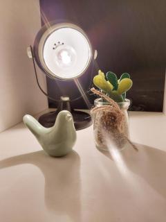 Cosy Appartement, CityCenter - 6