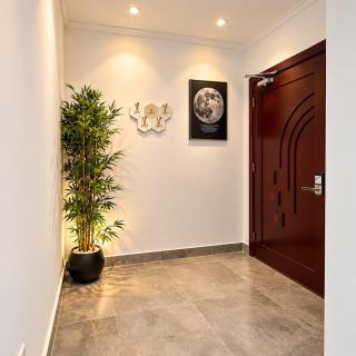 Luxurious Apartment - 2