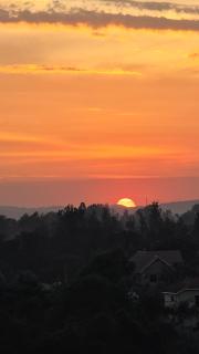 Your Haven of peace in the heart of Arusha - 2