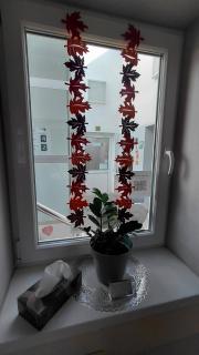 Blues Hostel - 6