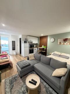 Studio centre village - 7