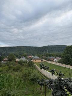 Quba hovuzlu bağ evi - 6