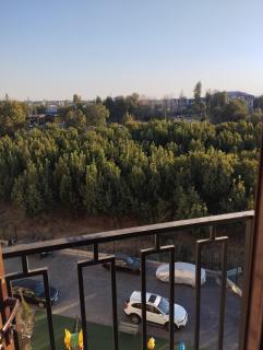 Xasanboy garden - 3