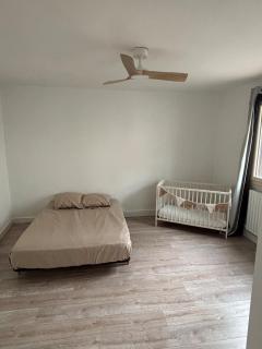 Appartement en centre-ville - 5