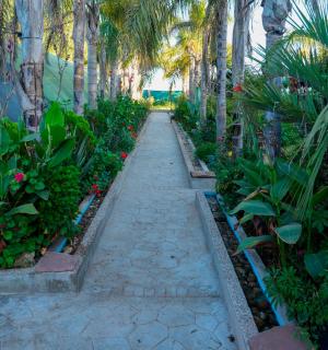 villa Aissa - 5