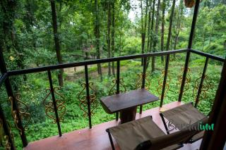 Bardalinn Resort-Shivapuri National Park - 4