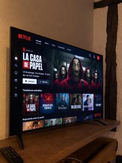 Le Mustang Internet Fibre Netflix - 4