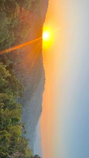 Coorg royal stay home stay - 3
