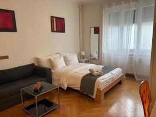 Studio near Lausanne centre and train station - 6