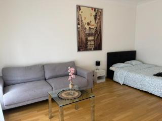 2 bedroom in the center of Lausanne - 9