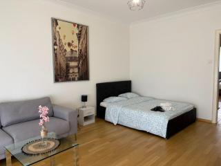 2 bedroom in the center of Lausanne - 7
