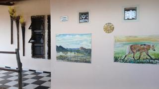 Hostel do Gui - 5