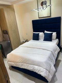 Cozy 1bedroom apartment in ikeja - 1