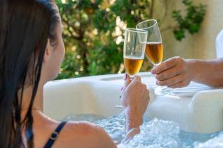 Gîte Nature Jacuzzi Piscine 8P Les Cottages duTarn - 0