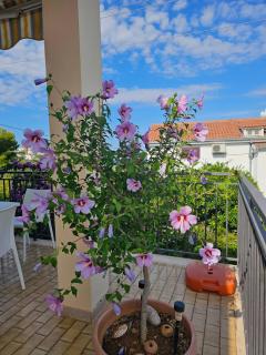 House Holiday House - 8