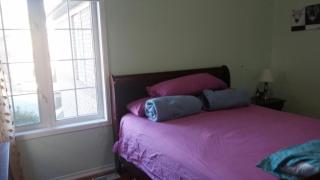 Cosy room in a Vegetarian home with own bathroom - Mississauga - 9