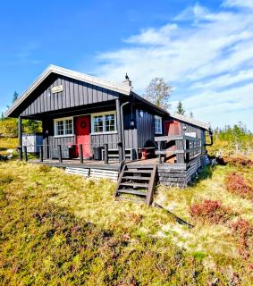 Familiehytte, Budor - Hedmarksvidda 60 minutter fra OSL - 9