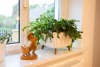 Ferienhaus Kleine Auszeit in Pomßen - 6