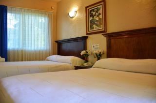 Hotel La Hacienda - 6