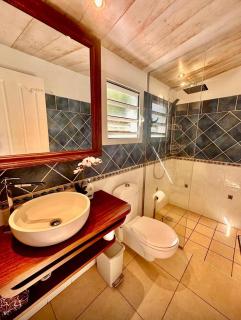 Villa des Rochers Jacuzzi, sea view and serenity - 3