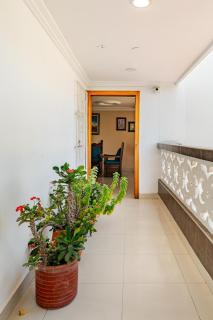 Tourist apartment steps from the Historic Center - 6