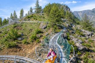 Getaway Moose - 5