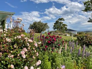 Centrewood Homestead - 2