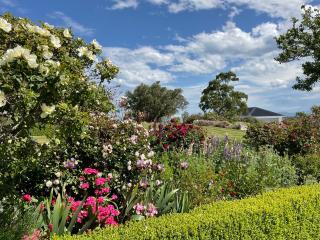 Centrewood Homestead - 1